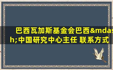 巴西瓦加斯基金会巴西—中国研究中心主任 联系方式